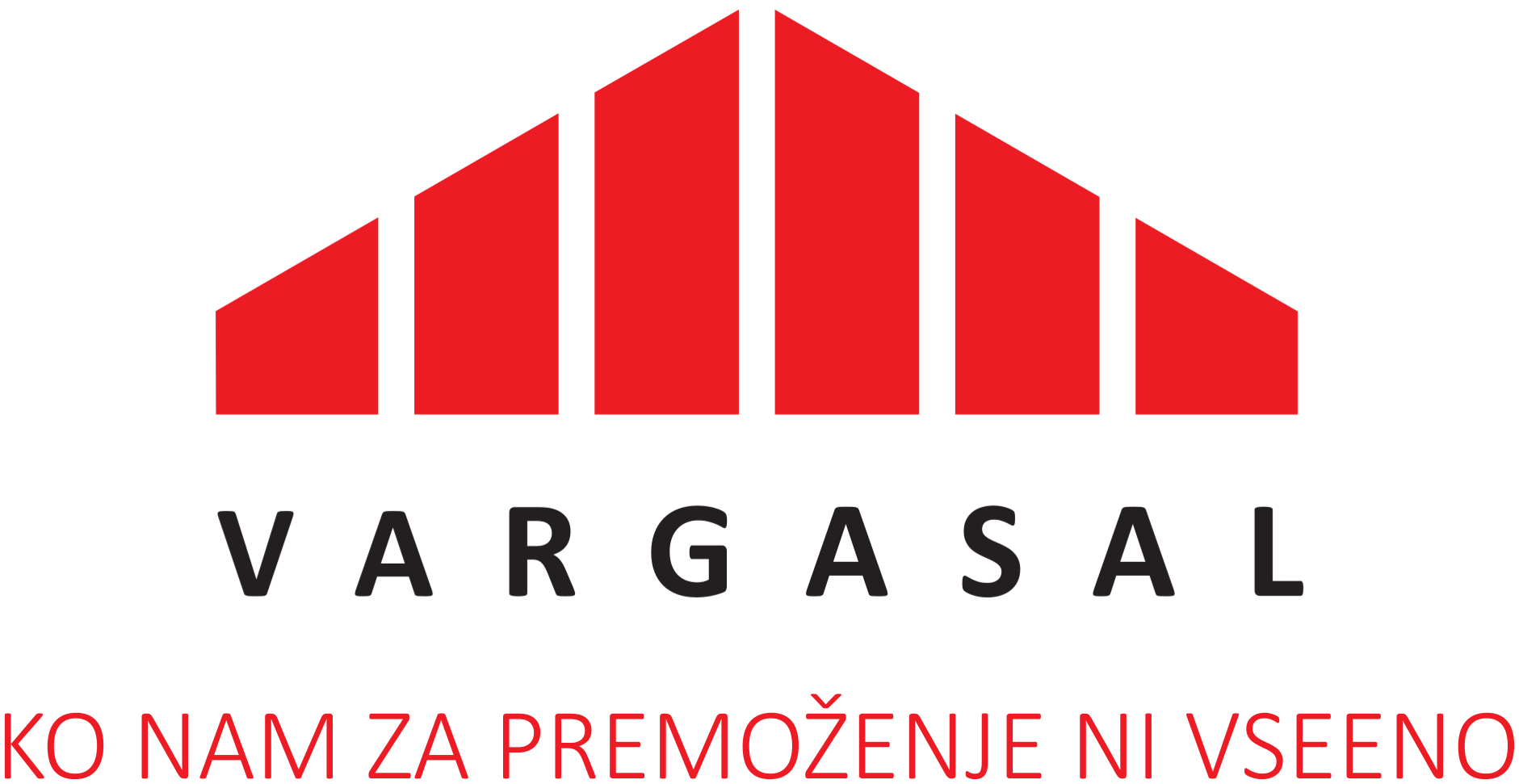 vargas logo 2016